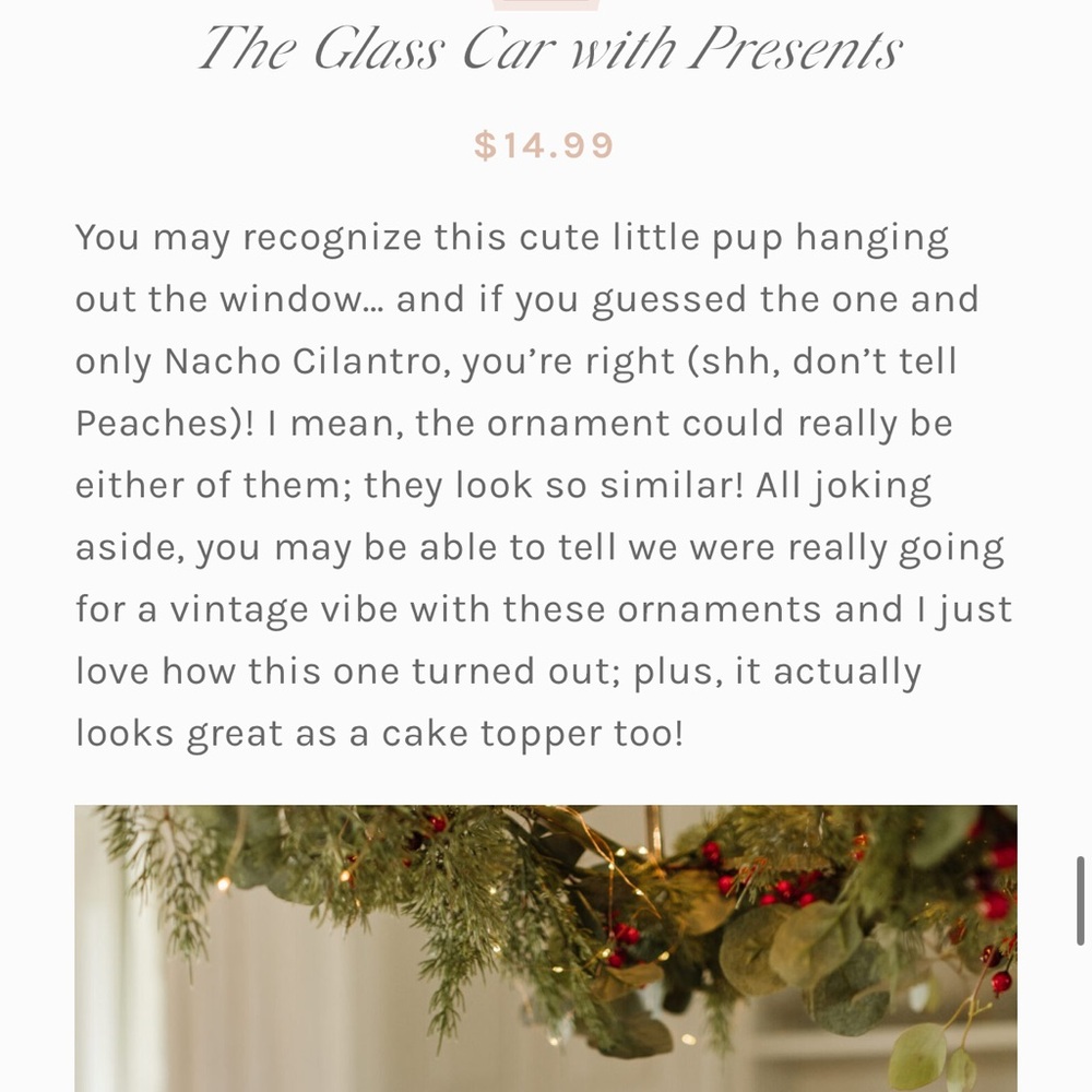 Jillian Harris x CANVAS Christmas Ornament Collection - Picture 9 of 11